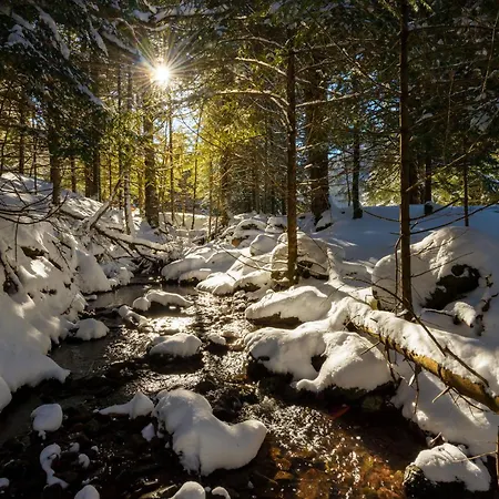 Casa Lluna By Bevalle Διαμέρισμα El Pueyo de Jaca