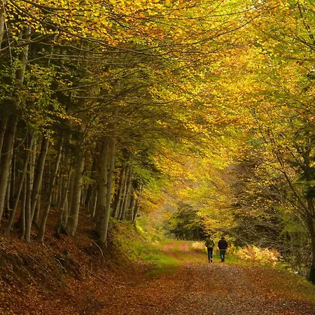 Casa Lluna By Bevalle Appartement
