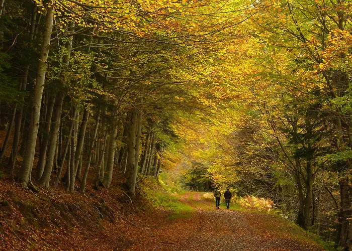 Casa Lluna By Bevalle Appartement